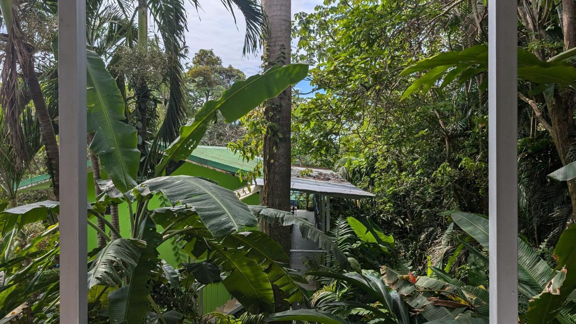 Peace Of Paradise Manuel Antonio Exterior photo
