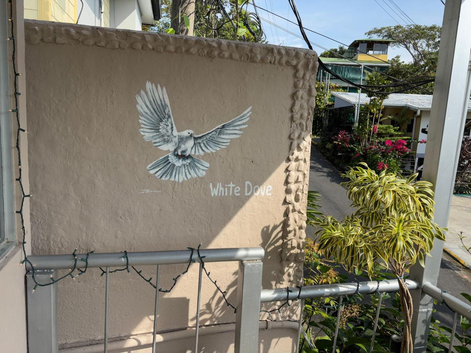 Peace Of Paradise Manuel Antonio Exterior photo